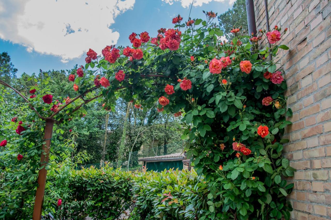 I Due Cipressi Torrenieri Exterior foto